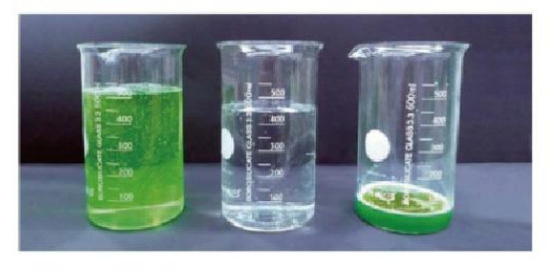 Système de distillation sous vide à basse température contrôlé par PLC 35°C